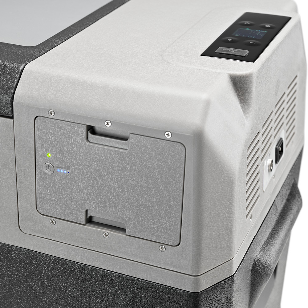 lionx2-1000x1000.jpg