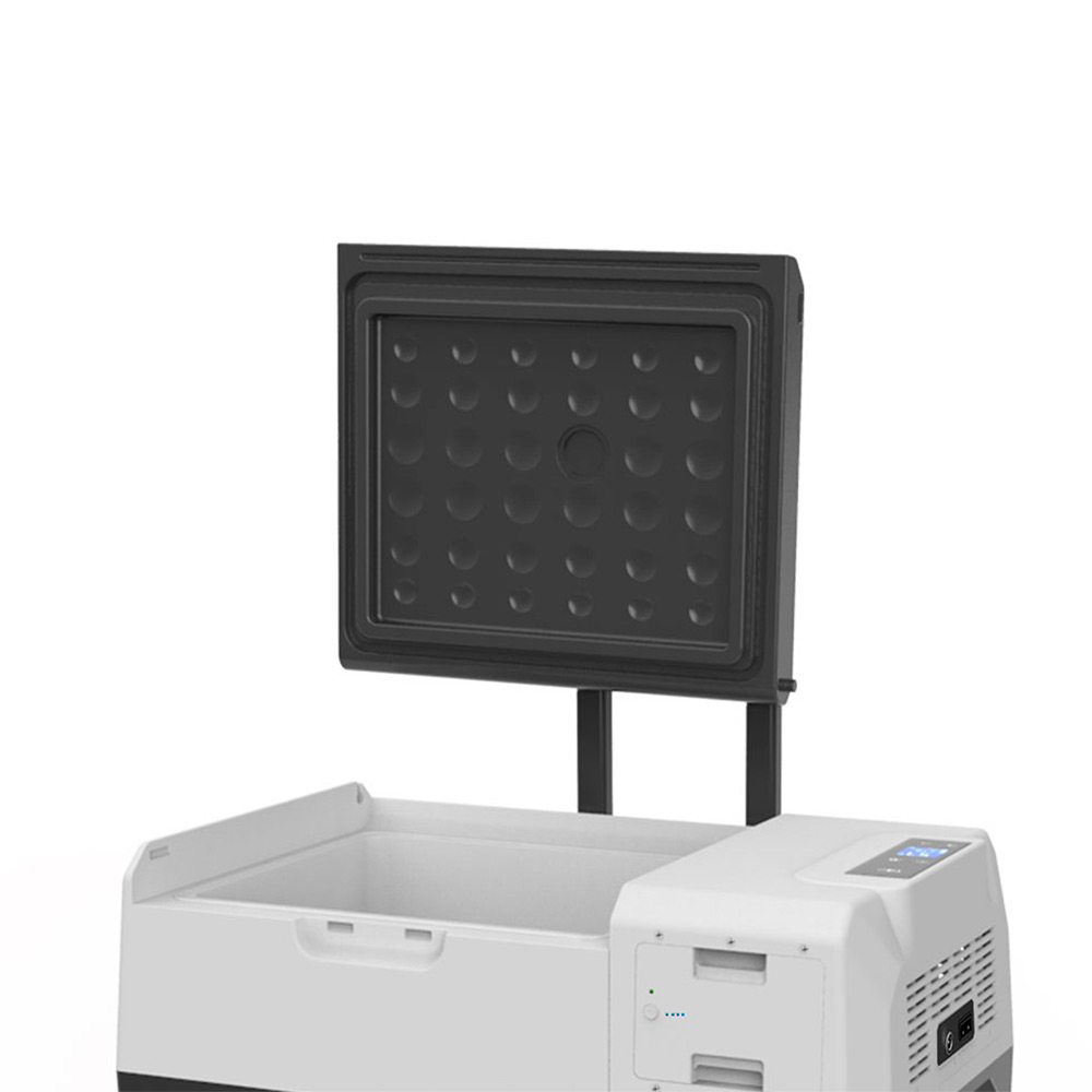 lionx3-1000x1000.jpg