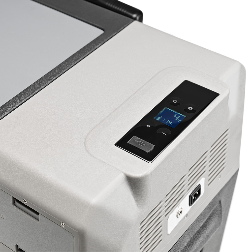 lionx1-1000x1000.jpg