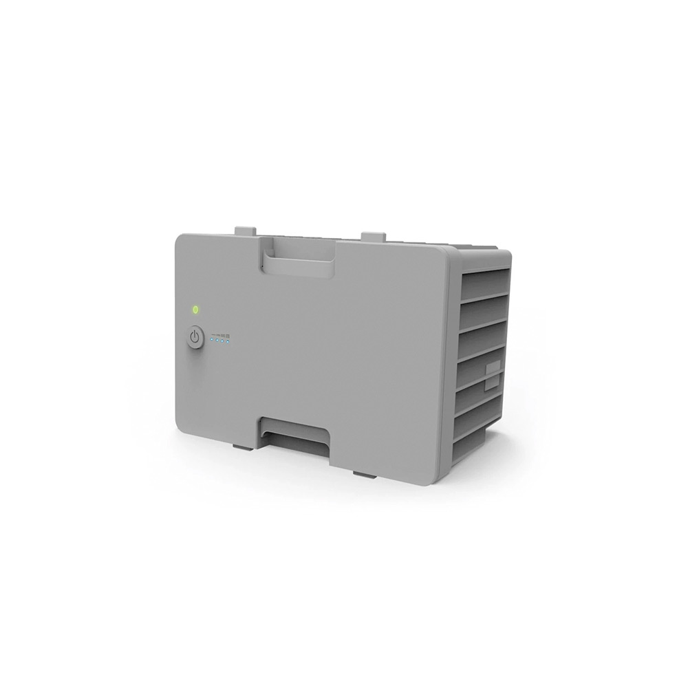 lionx5-1000x1000.jpg