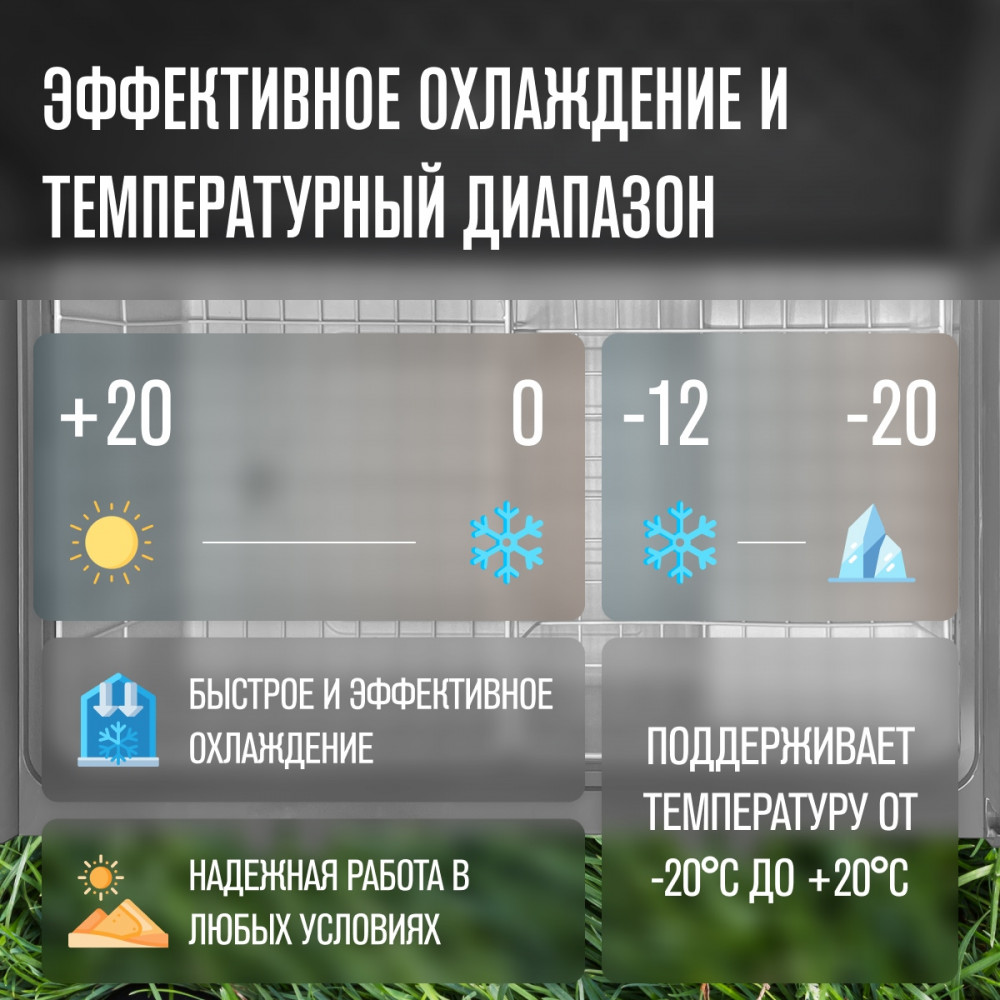 12-1000x1000.jpg
