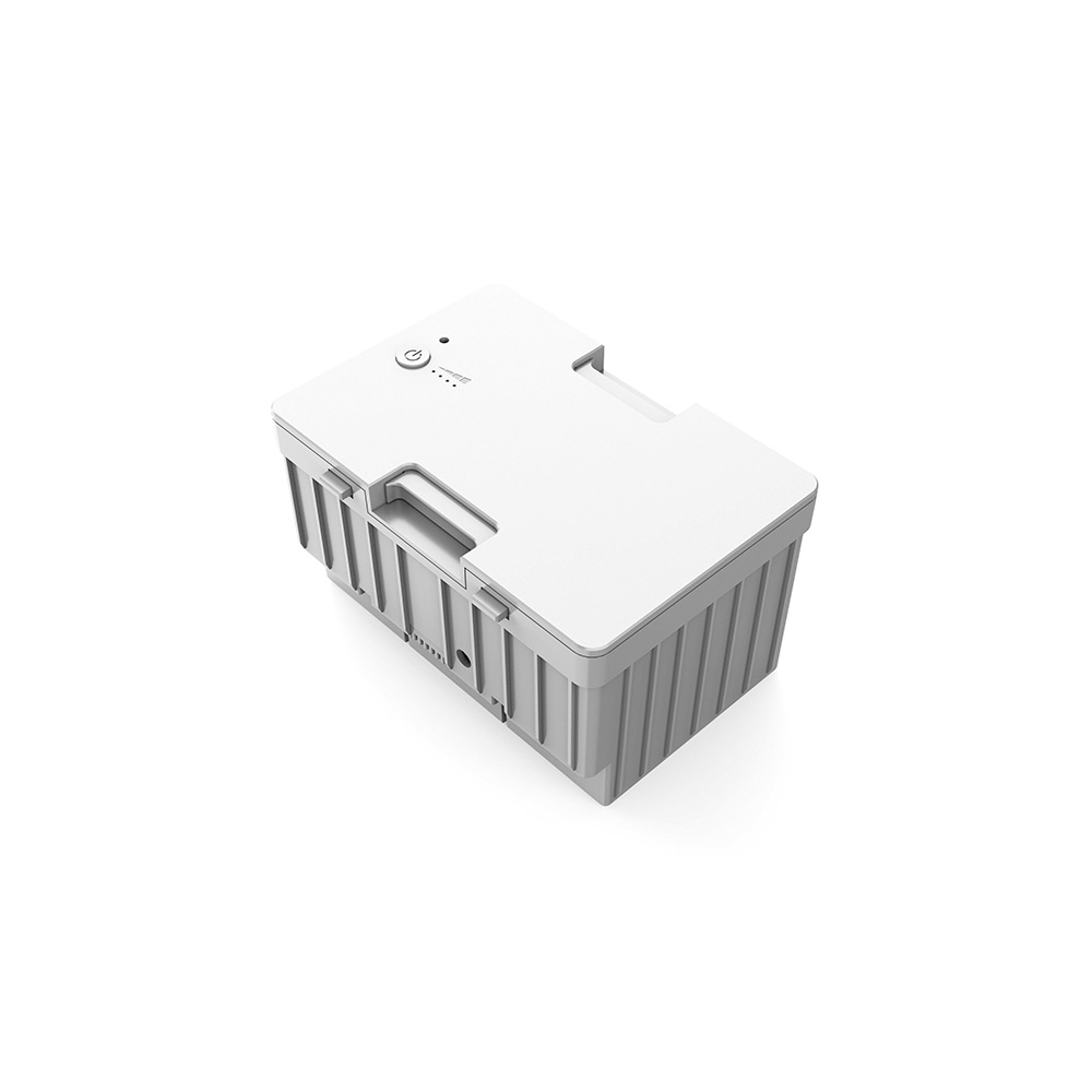 lionx6-1000x1000.jpg